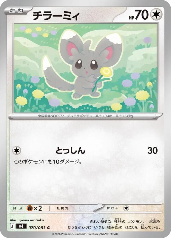 Minccino Japanese card