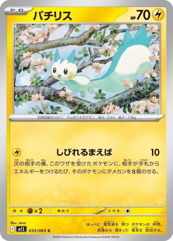 Pachirisu Japanese card