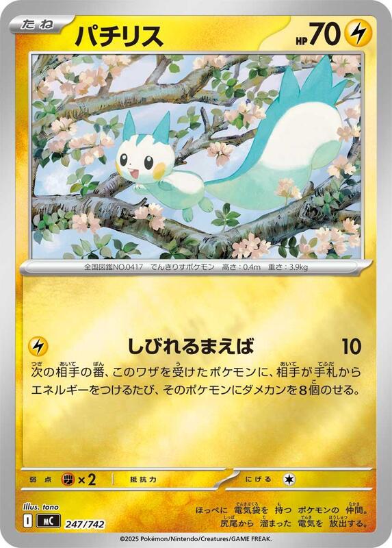 Pachirisu Japanese card