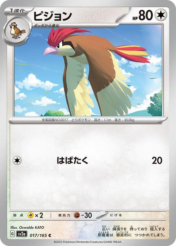 Pidgeotto Japanese card