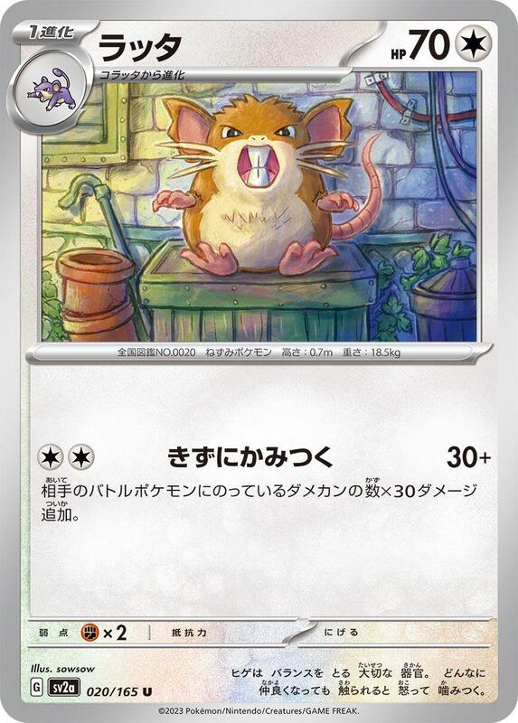 Raticate Japanese card