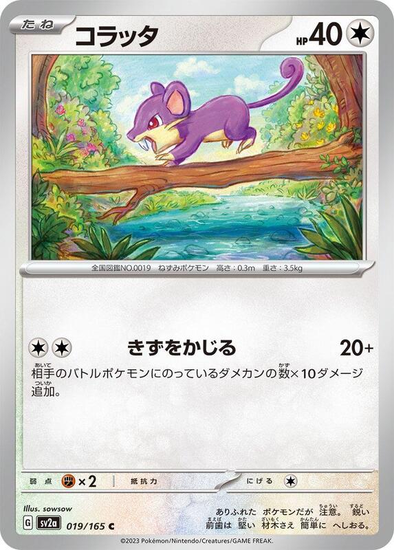 Rattata Japanese card