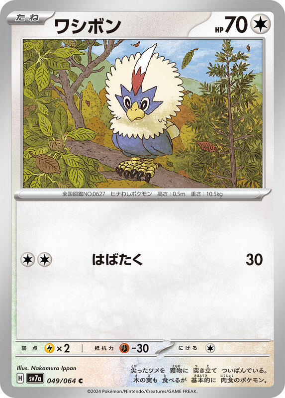 Rufflet Japanese card