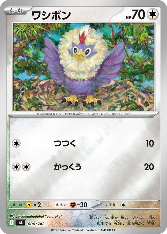 Rufflet (Mirror Holo) Japanese card