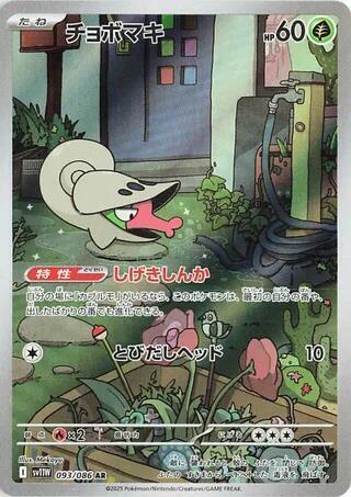 Shelmet Japanese card