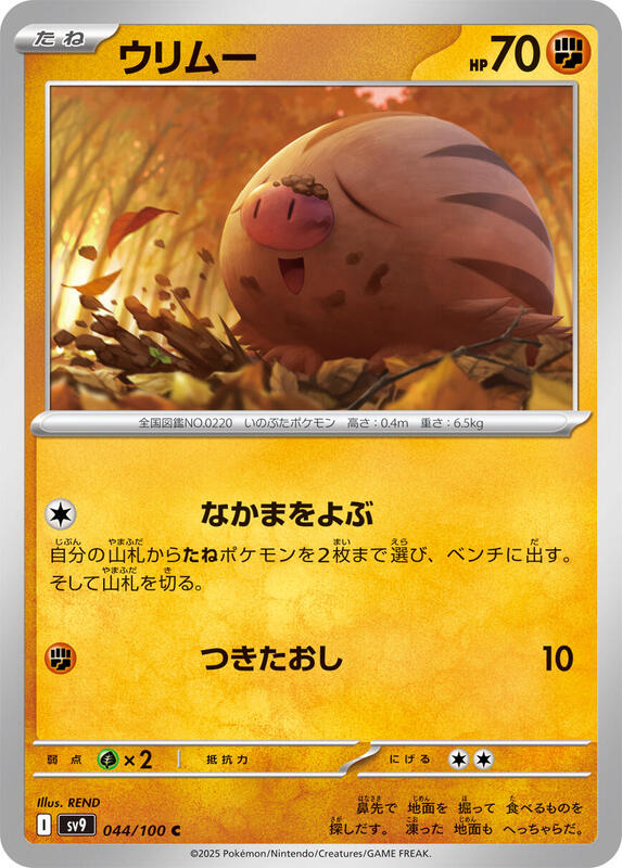 Swinub Japanese card