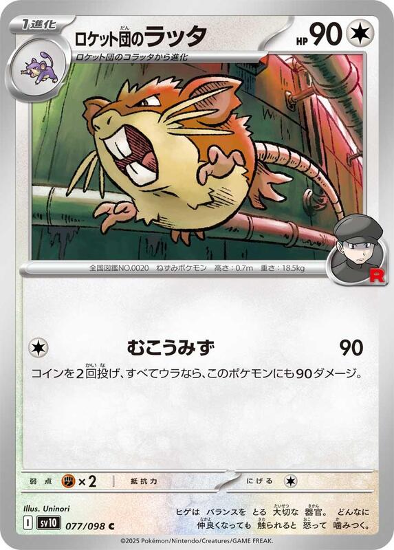 Team Rocket's Raticate Japanese card