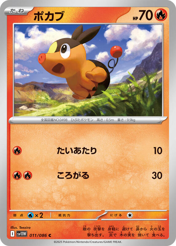 Tepig Japanese Pokémon card