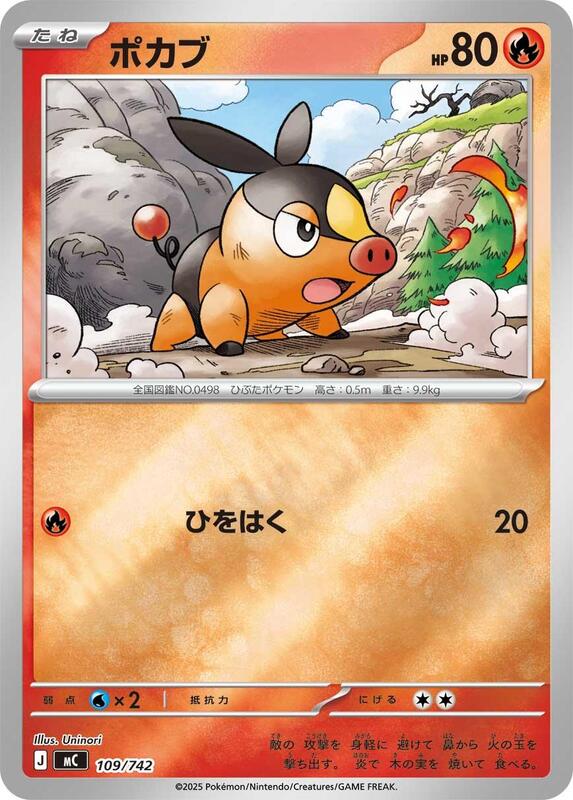 Tepig Japanese Pokémon card