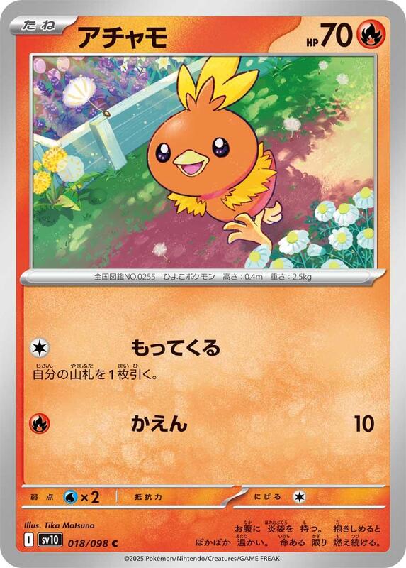 Torchic Japanese card