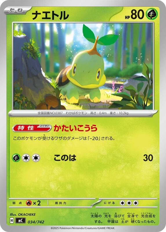 Turtwig Japanese Pokémon card