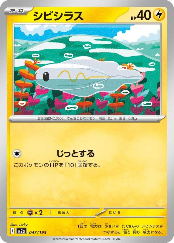 Tynamo Japanese card