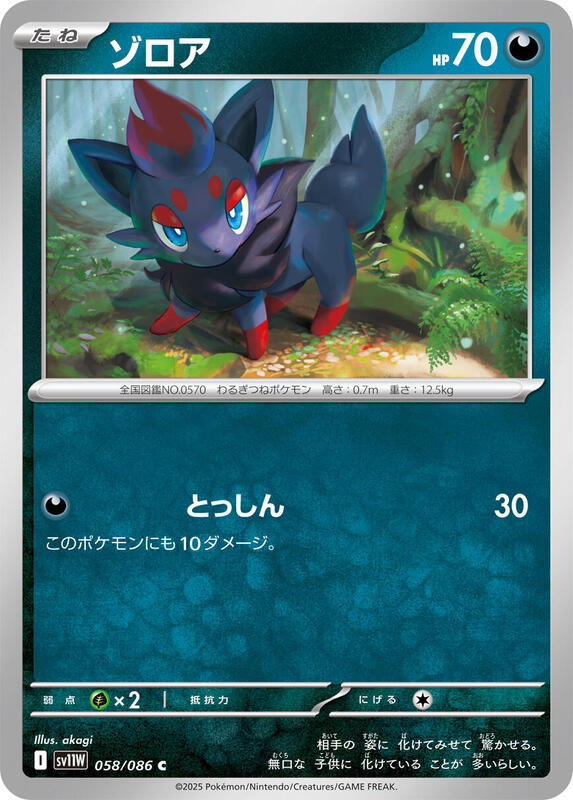 Zorua Japanese card